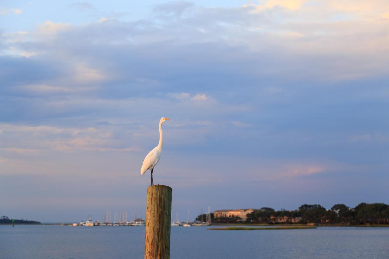 Sea Side Villas Hilton Head Island Zewnętrze zdjęcie